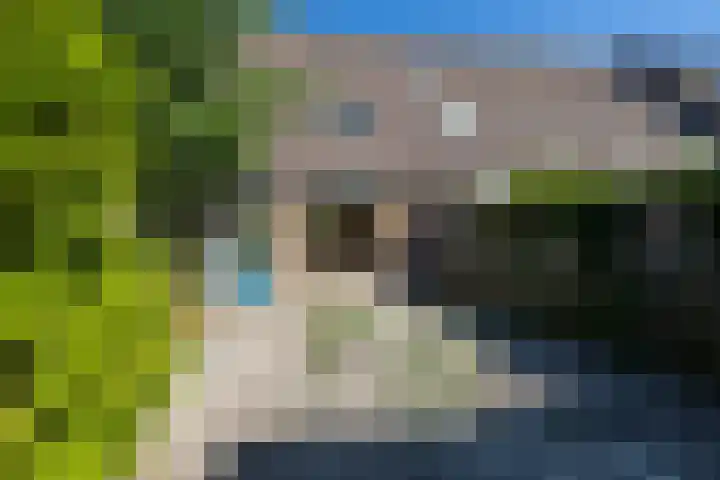 Putter 10 Etten-Leur thumbnail 30