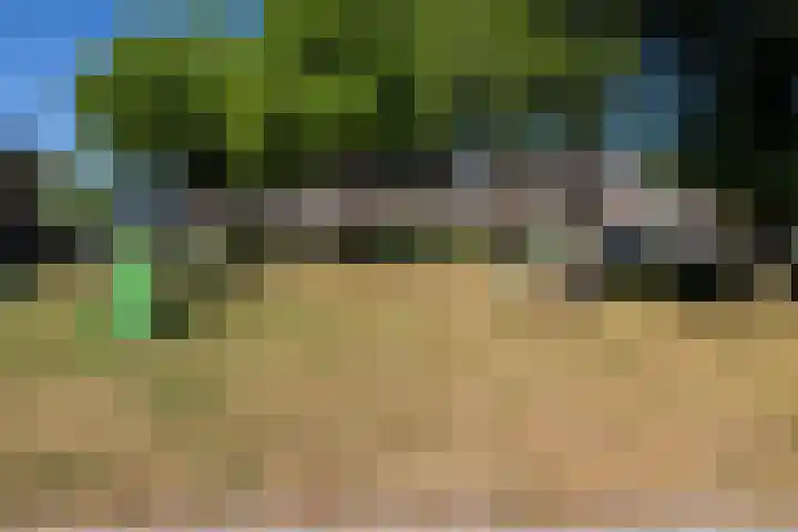 Putter 10 Etten-Leur thumbnail 32