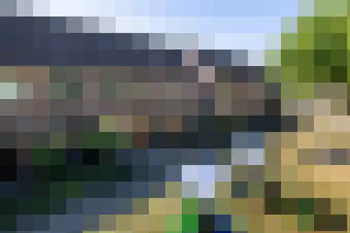 Putter 10 Etten-Leur thumbnail 7