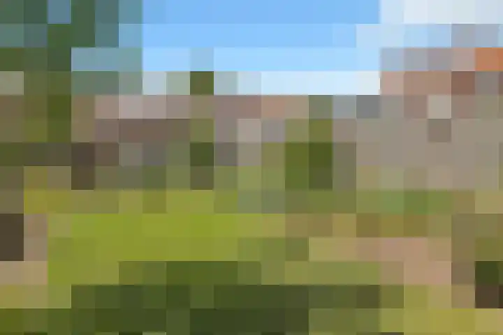 Putter 11 Veldhoven thumbnail 42