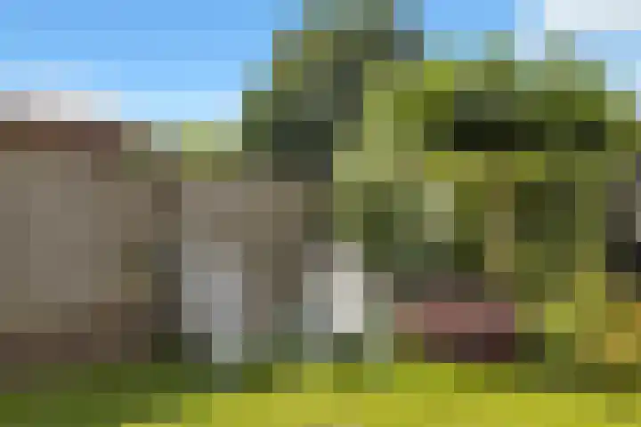 Putter 11 Veldhoven thumbnail 52
