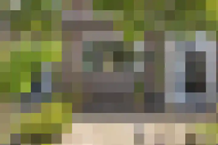 Putter 11 Veldhoven thumbnail 6