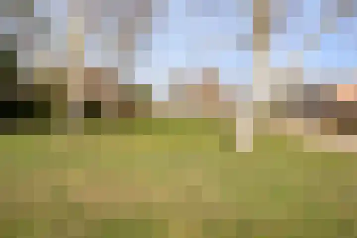Putter 11 Veldhoven thumbnail 7