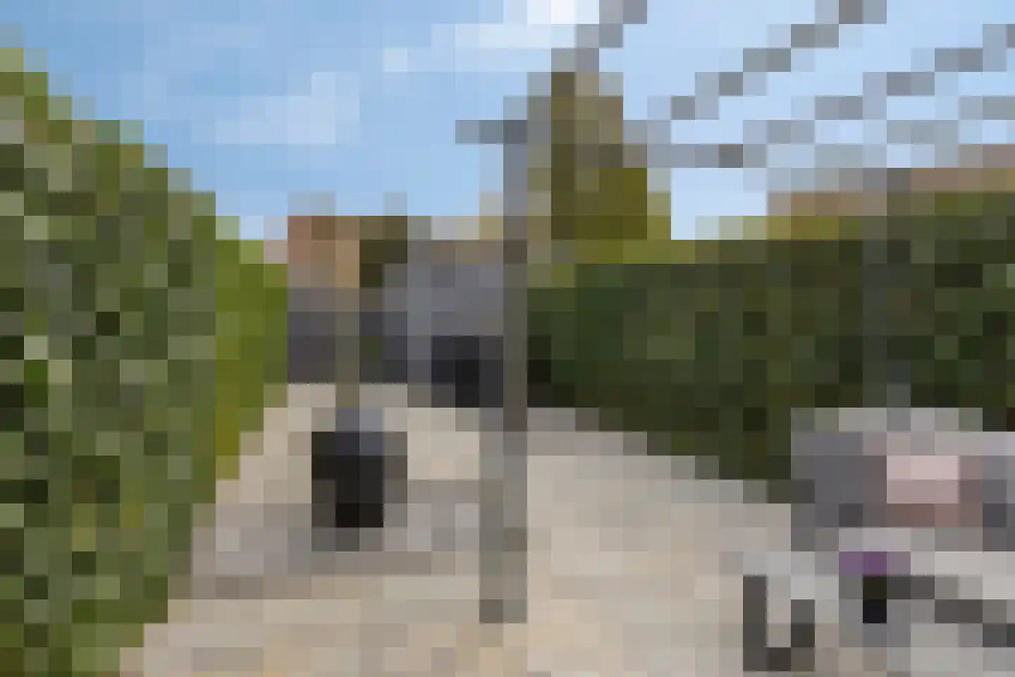 Putter 16 Etten-Leur thumbnail 35