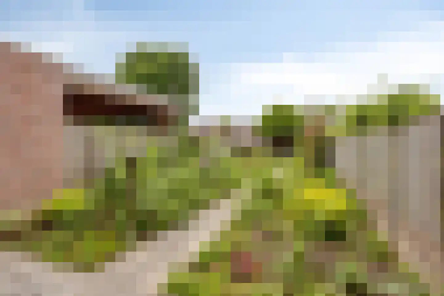 Putter 9 Veldhoven thumbnail 21