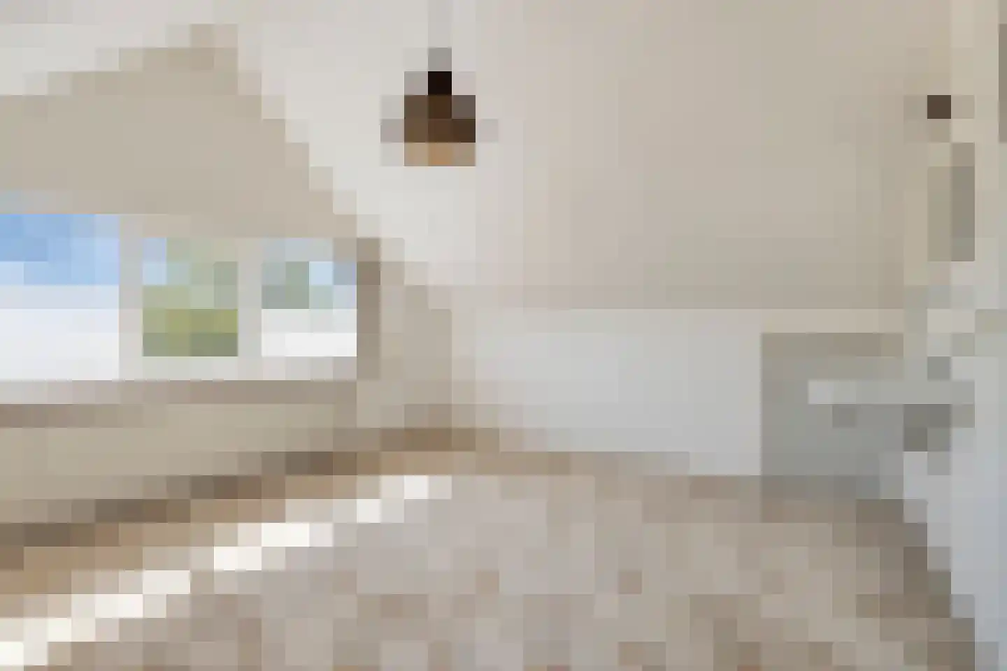 Putterhof 2 Heinkenszand thumbnail 28