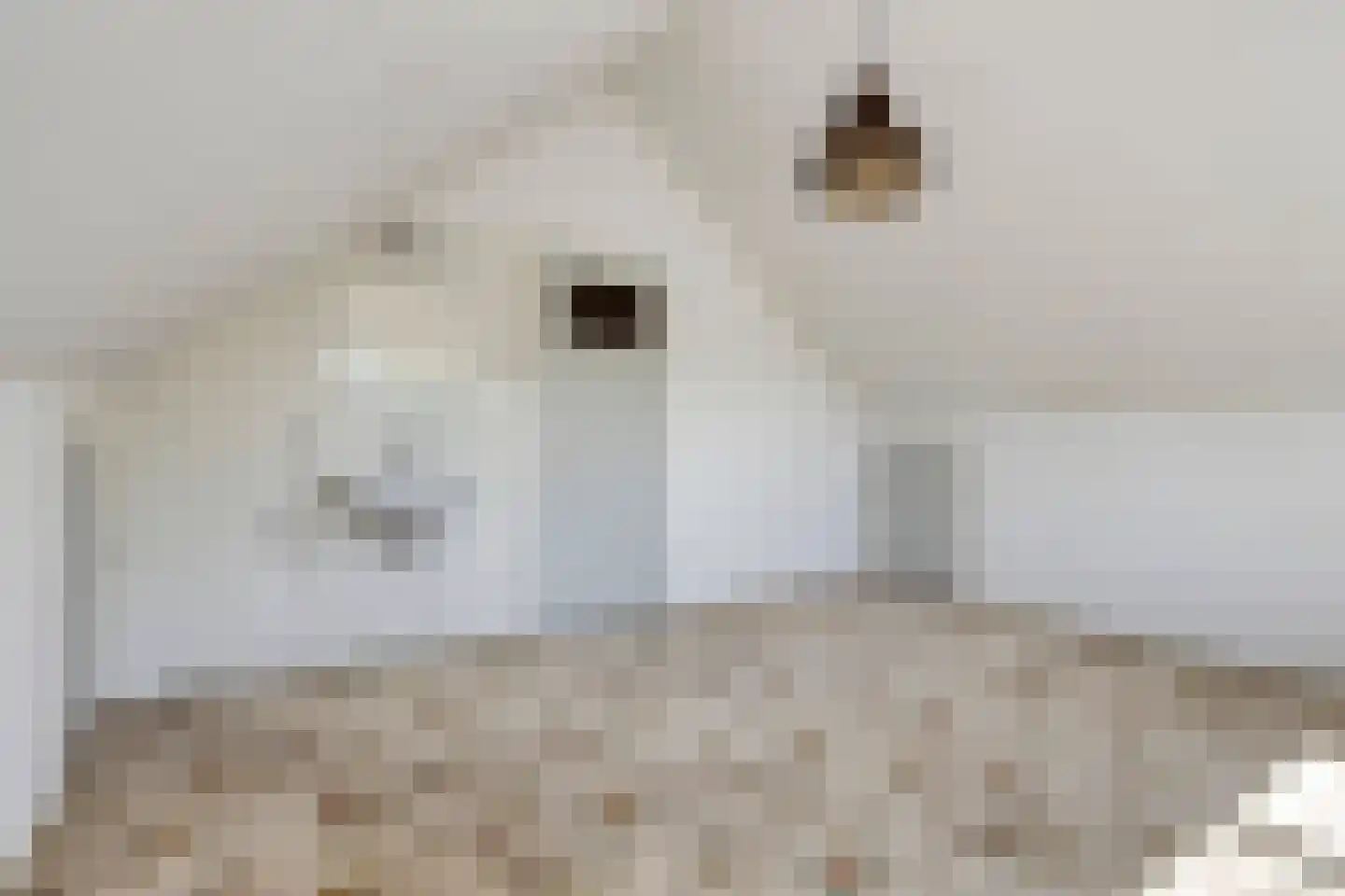 Putterhof 2 Heinkenszand thumbnail 29