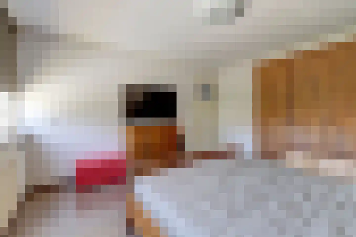 Putterhof 8 Heinkenszand thumbnail 15
