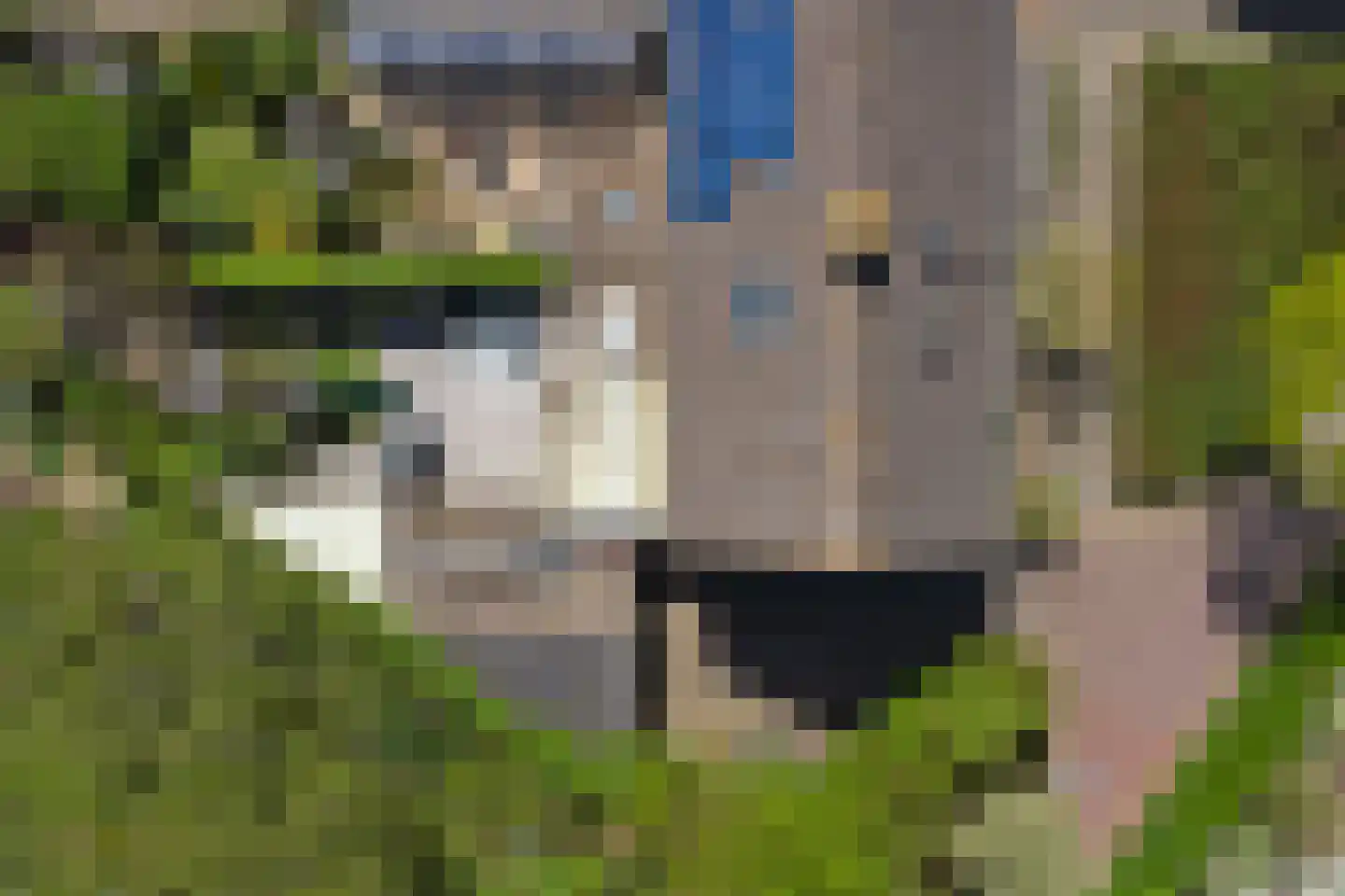 Putterhof 8 Heinkenszand thumbnail 33