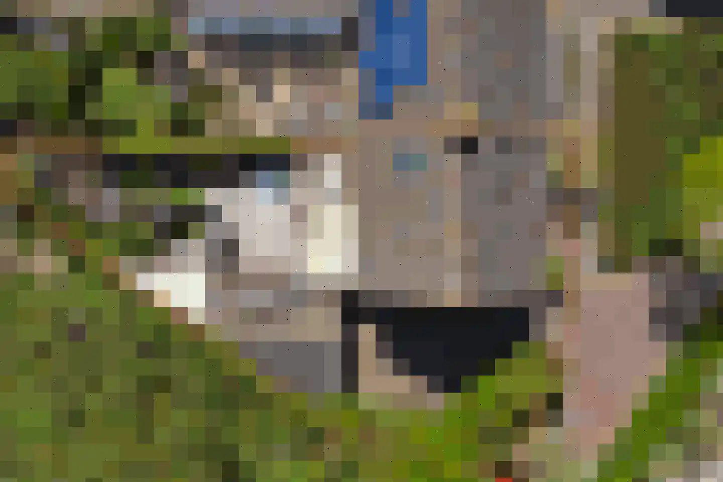 Putterhof 8 Heinkenszand thumbnail 35