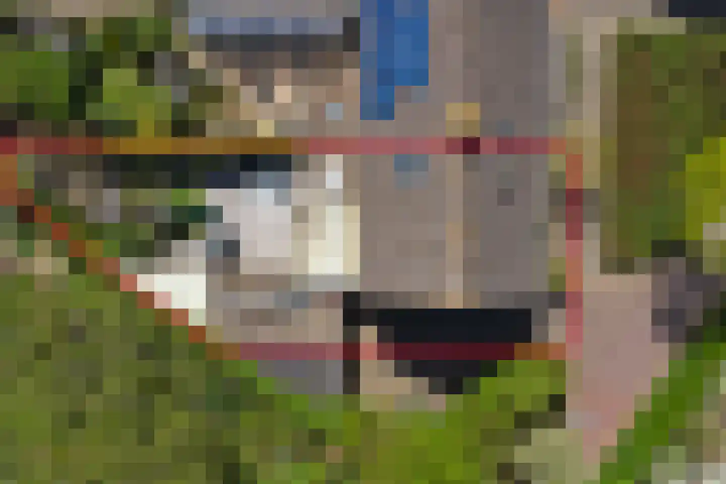 Putterhof 8 Heinkenszand thumbnail 35
