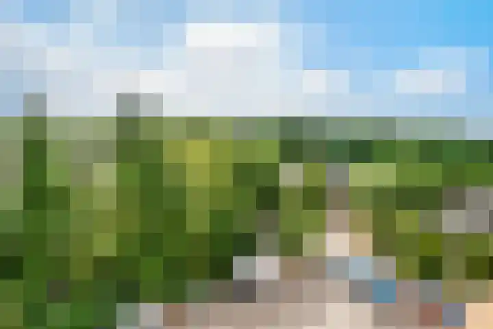 Putterlaan 101 Bilthoven thumbnail 32