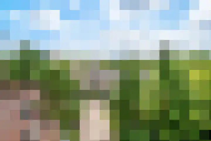 Putterlaan 101 Bilthoven thumbnail 33