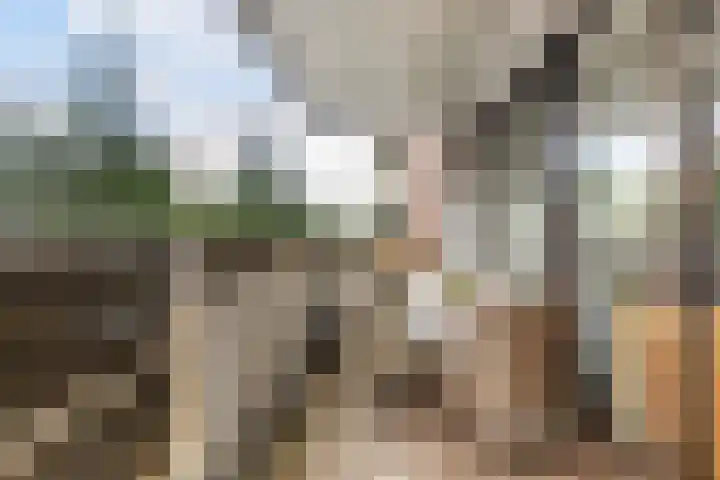 Putterlaan 141 Bilthoven thumbnail 18