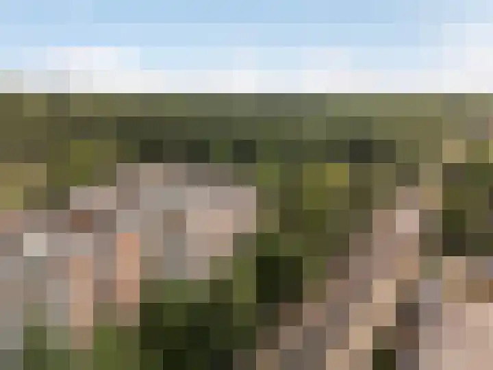Putterlaan 141 Bilthoven thumbnail 23