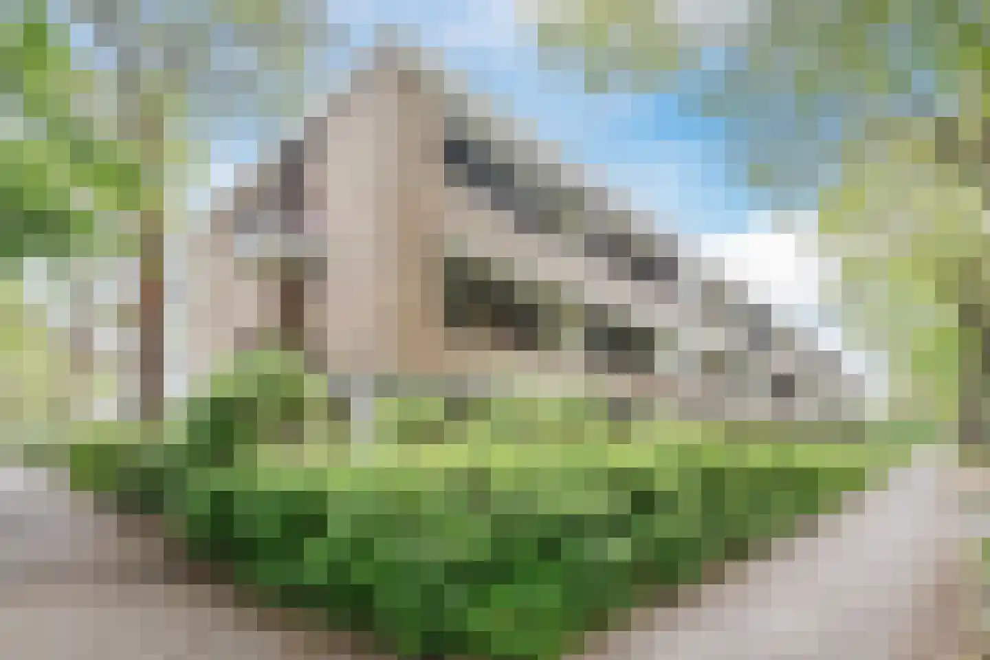 Putterlaan 33 Bilthoven thumbnail 36
