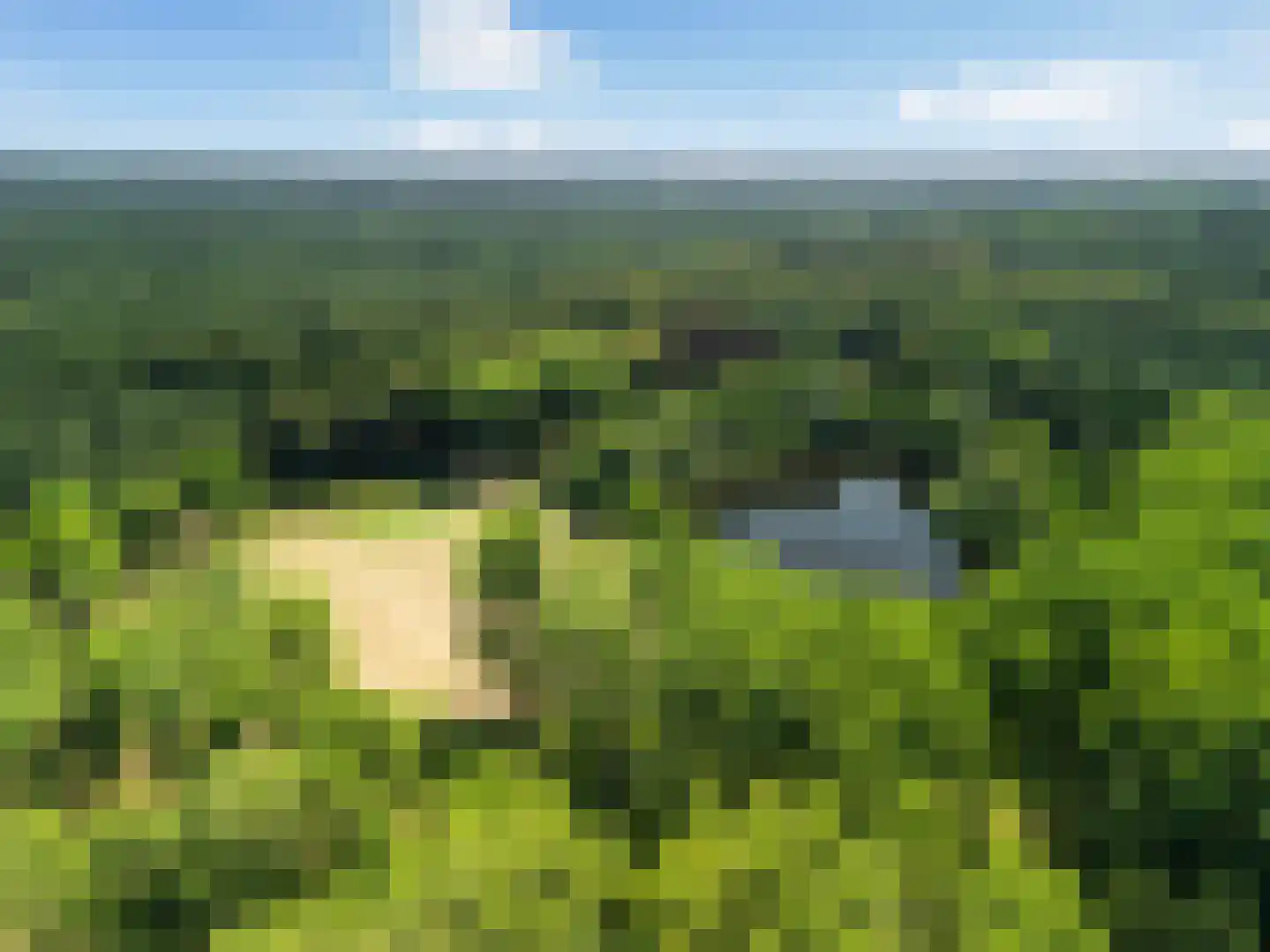 Putterlaan 39 Bilthoven thumbnail 32