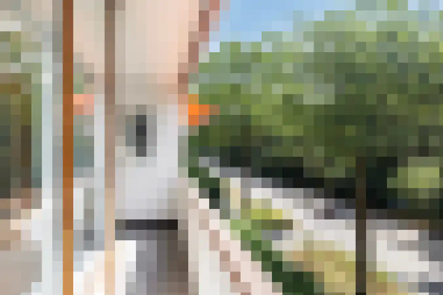 Putterlaan 39 Bilthoven thumbnail 4