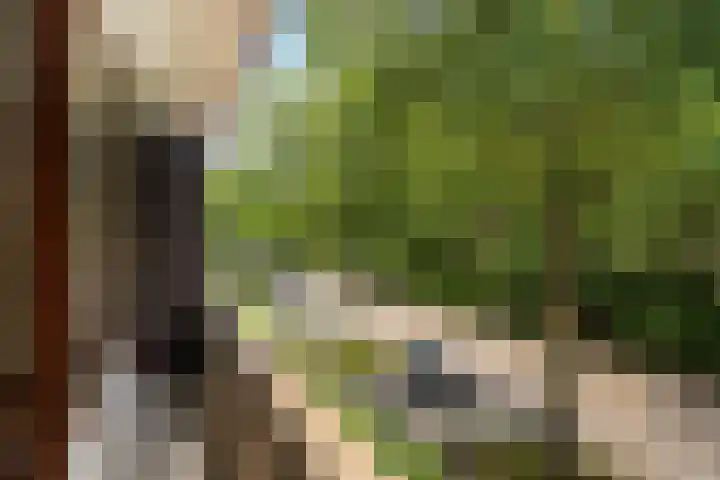 Putterlaan 49 Bilthoven thumbnail 13