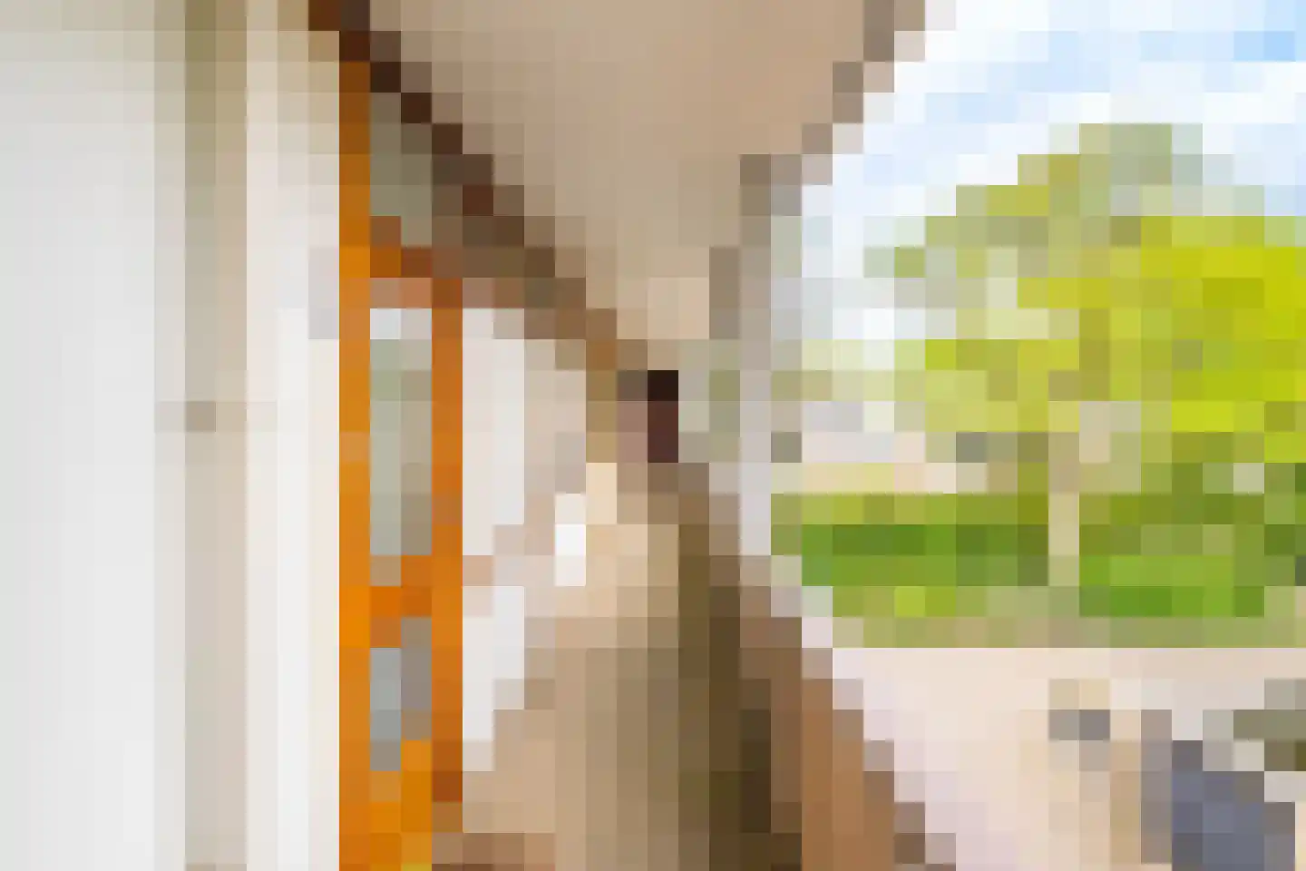 Putterlaan 51 Bilthoven thumbnail 27