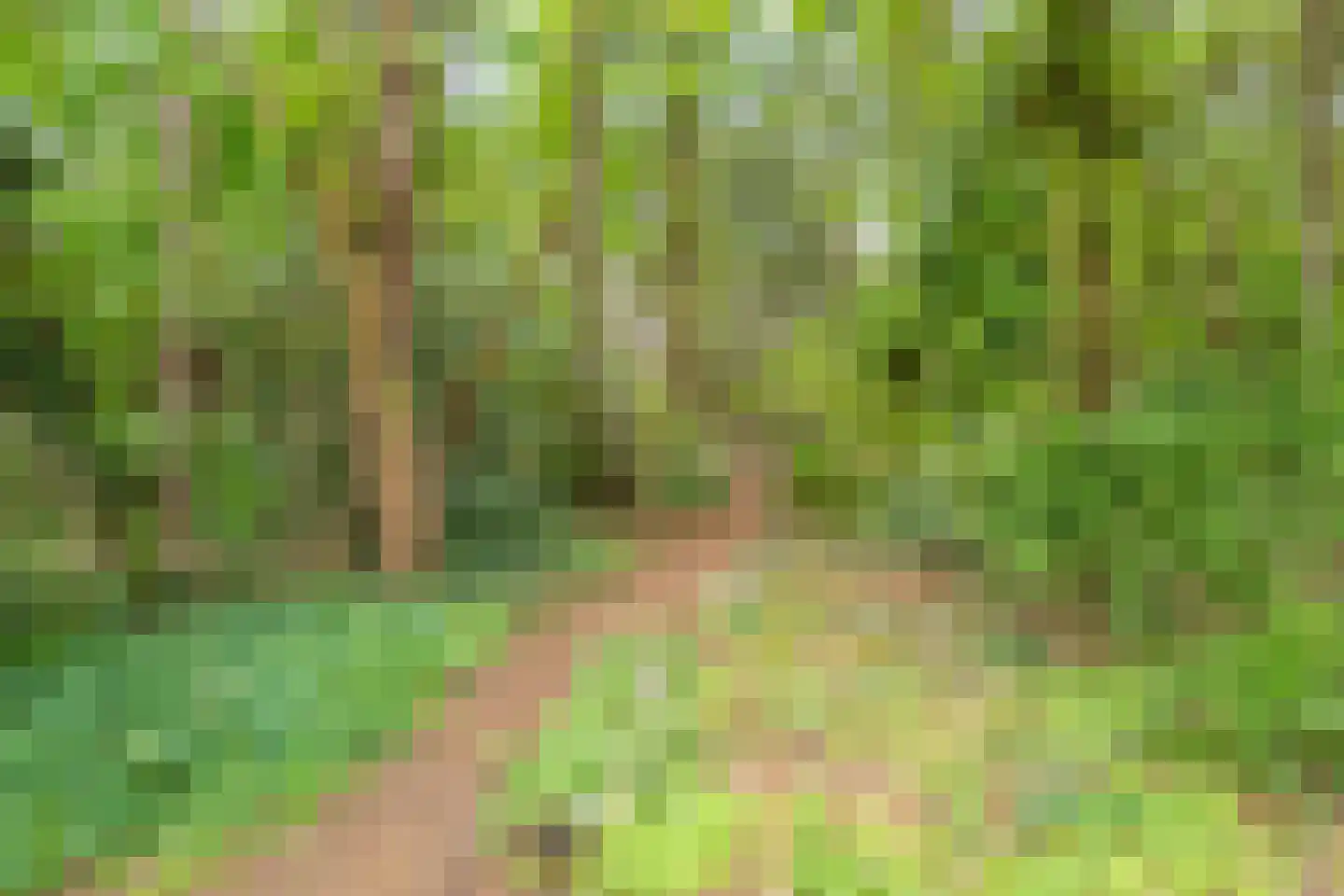 Putterlaan 51 Bilthoven thumbnail 37