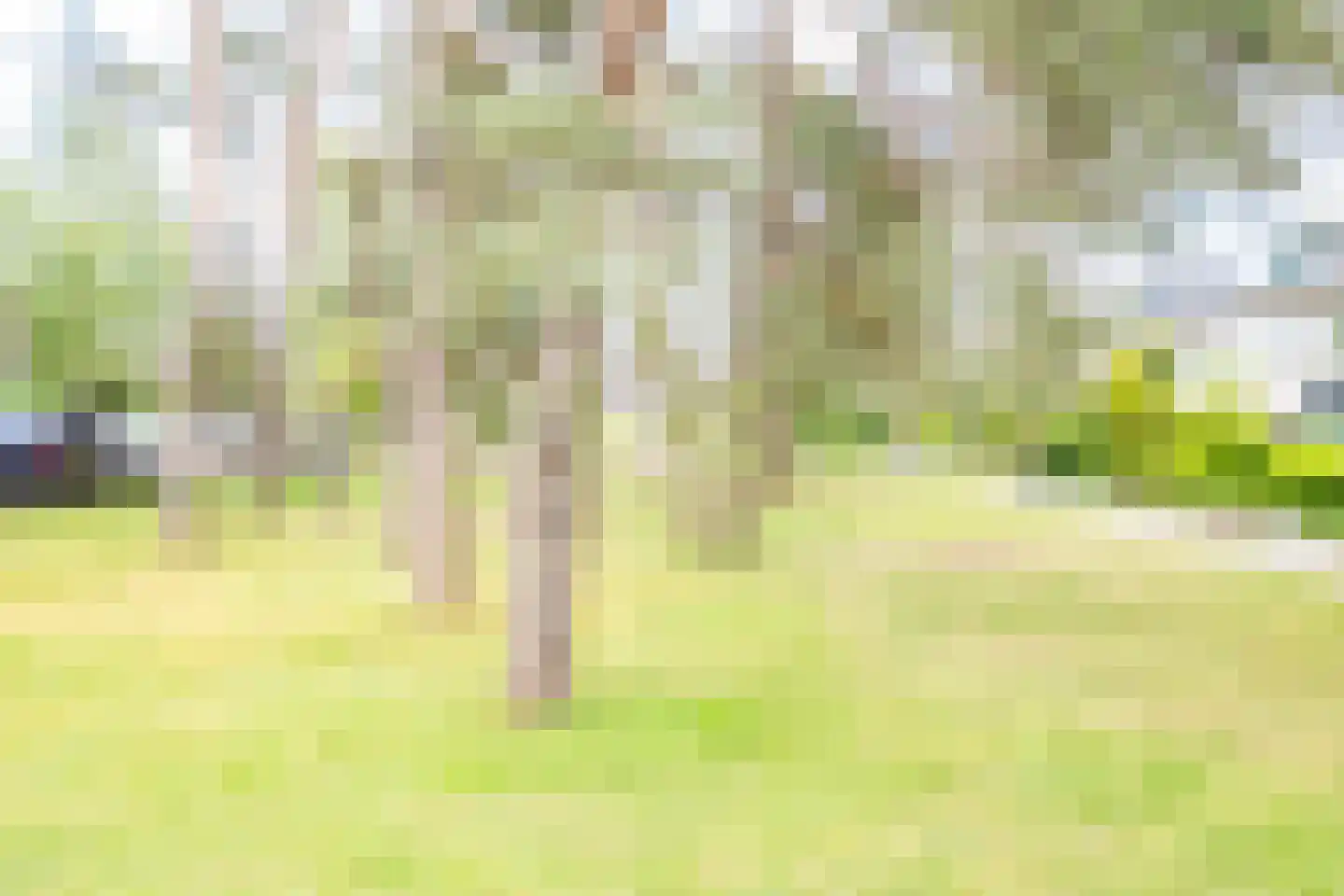 Putterlaan 51 Bilthoven thumbnail 39