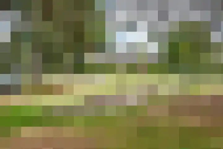 Putterlaan 7 Bilthoven thumbnail 47