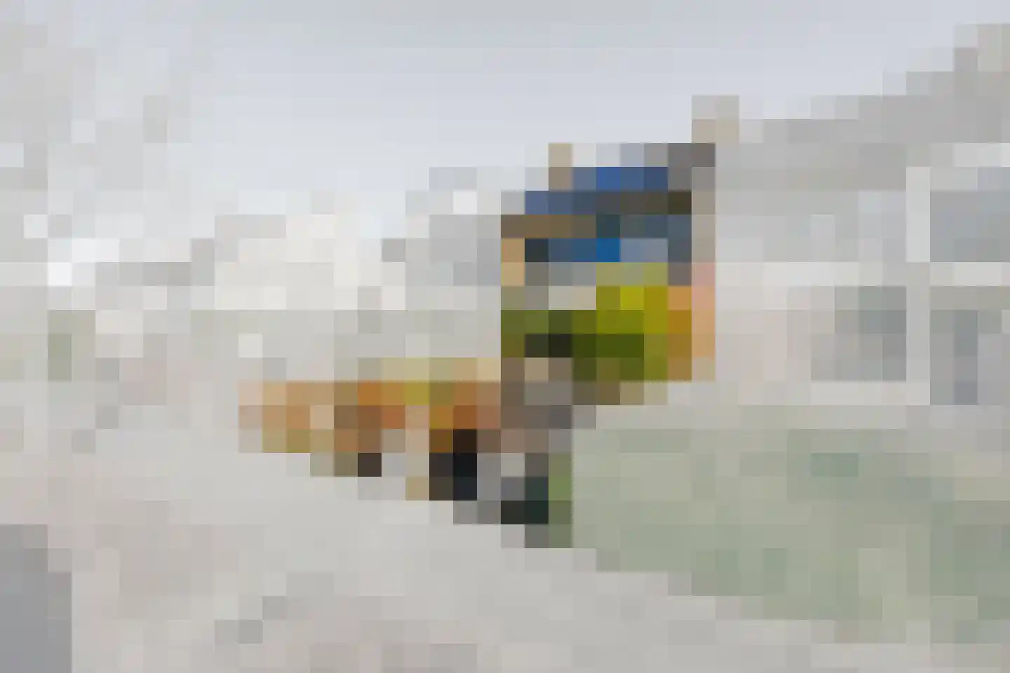 Putterlaan 7 Leidschendam thumbnail 5
