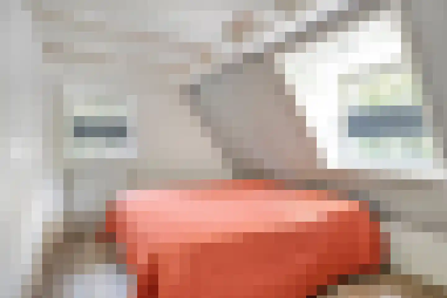 Putterpad 11 Haaren thumbnail 15