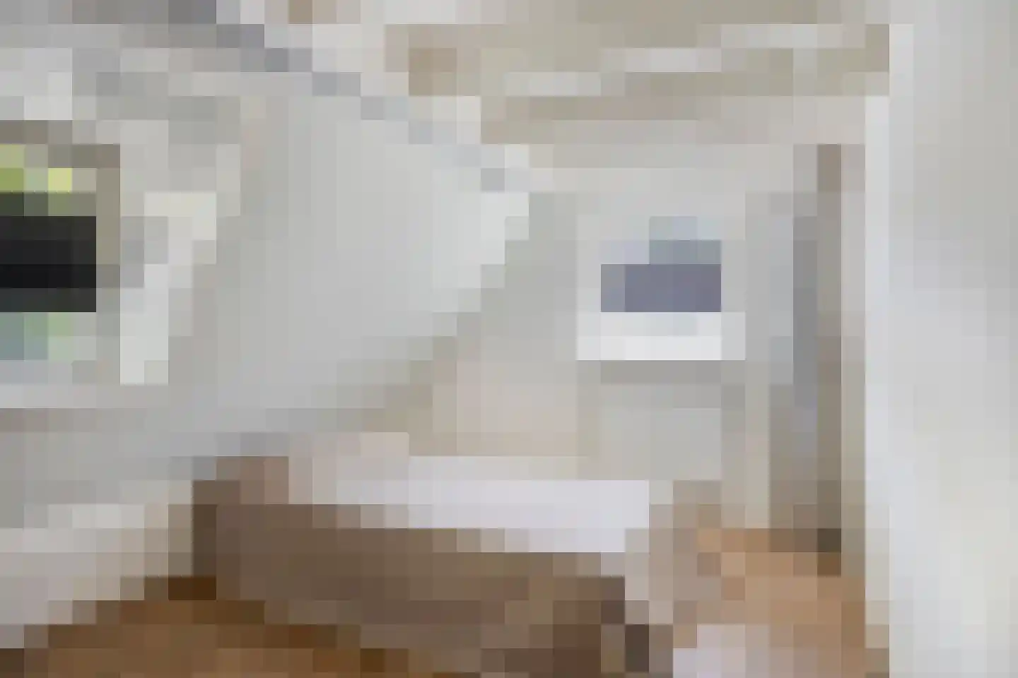 Putterpad 11 Haaren thumbnail 16