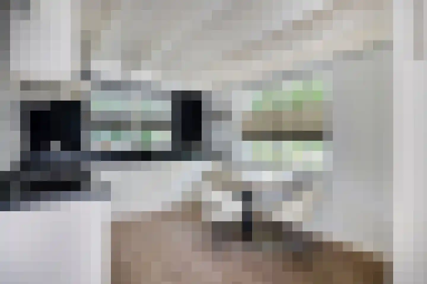 Putterpad 11 Haaren thumbnail 7