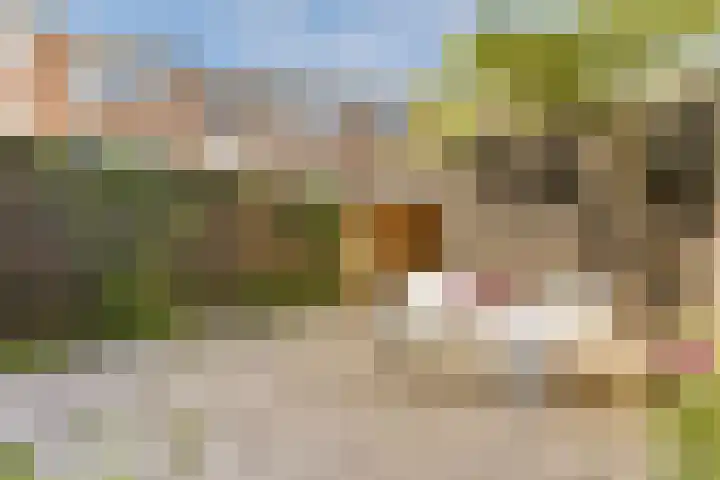 Putterplantsoen 50 Amsterdam thumbnail 17