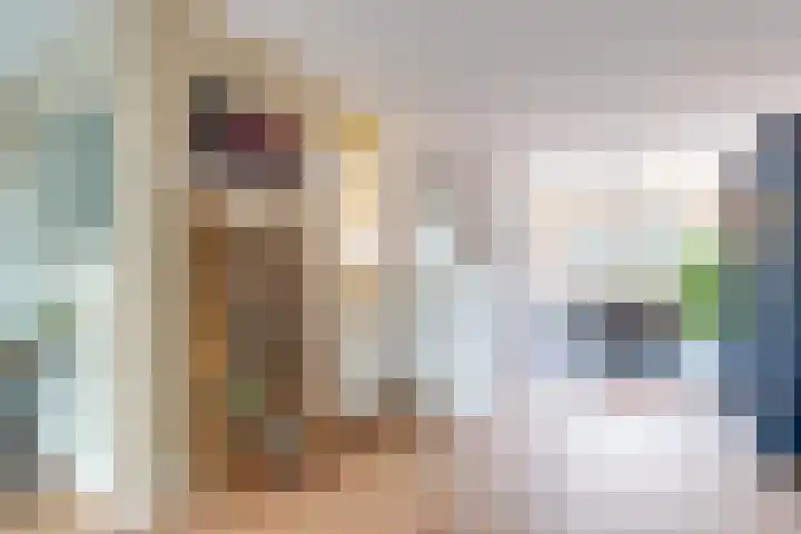 Puttersakker 7 Warmenhuizen thumbnail 14