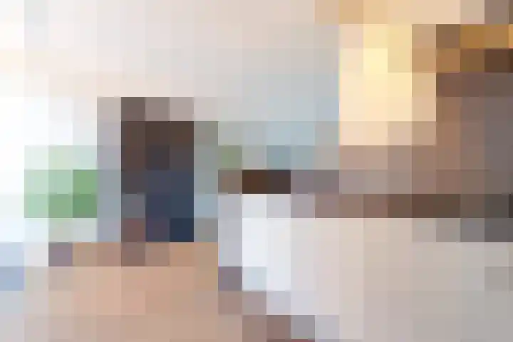 Puttersakker 7 Warmenhuizen thumbnail 21