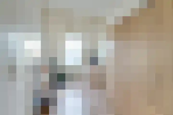 Puttersakker 7 Warmenhuizen thumbnail 26