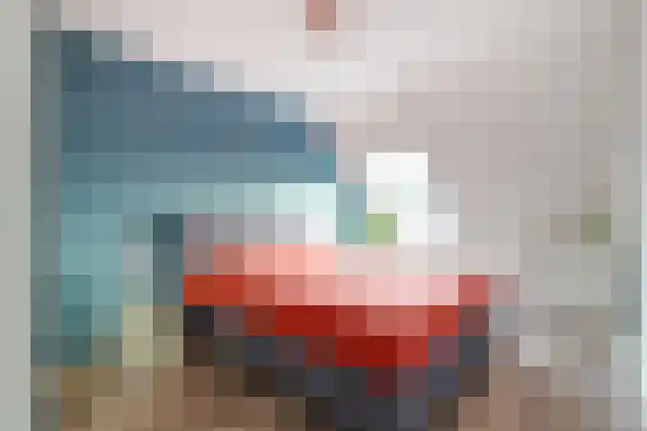 Puttersakker 7 Warmenhuizen thumbnail 32