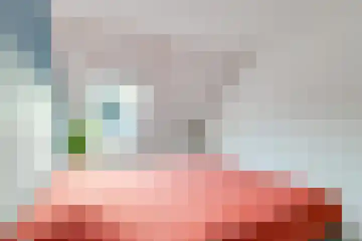 Puttersakker 7 Warmenhuizen thumbnail 33