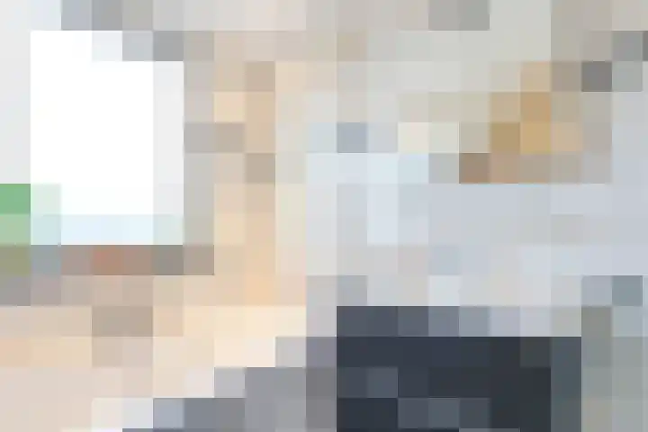 Puttersakker 7 Warmenhuizen thumbnail 36