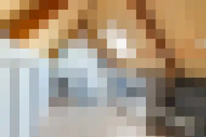 Puttersakker 7 Warmenhuizen thumbnail 39