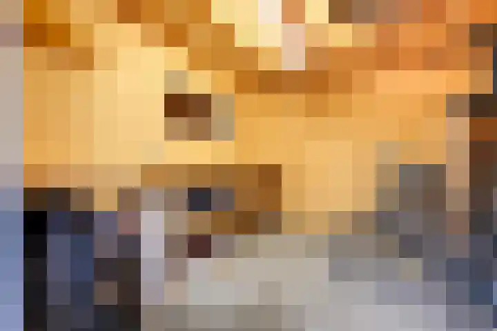 Puttersakker 7 Warmenhuizen thumbnail 43