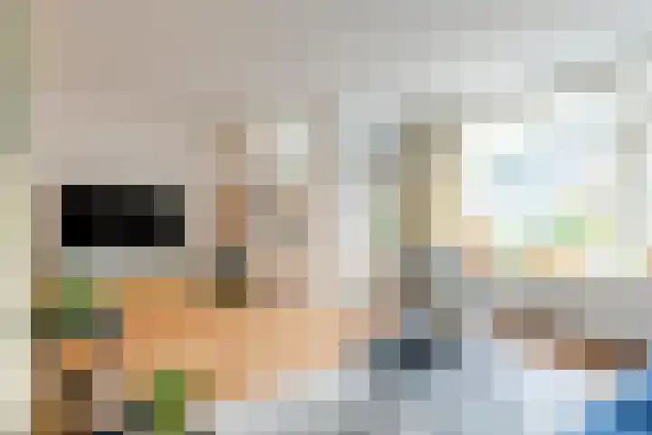 Puttersakker 7 Warmenhuizen thumbnail 8