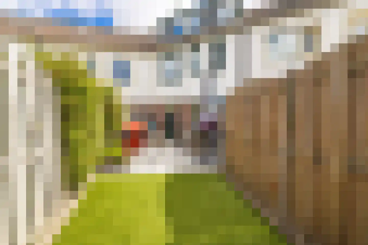 Puttersbos 64 Hoofddorp thumbnail 47