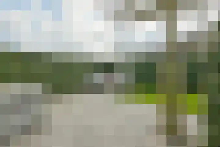 Puttersbos 97 Hoofddorp thumbnail 6