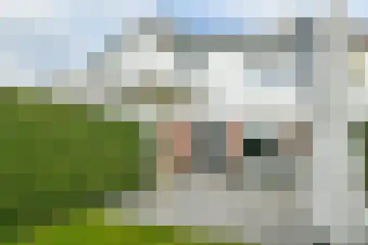Puttersbos 97 Hoofddorp thumbnail 7