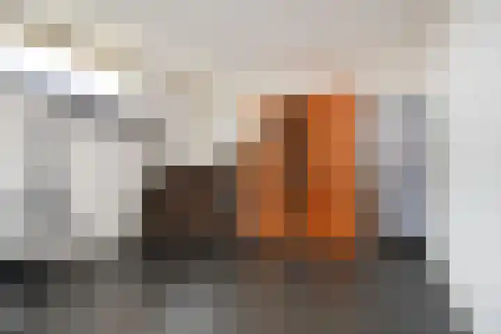 Puttershoekstraat 58 Zoetermeer thumbnail 43