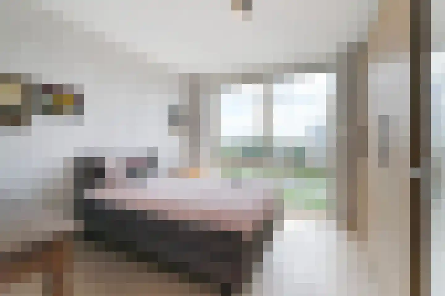 Puttershoekstraat 71 Zoetermeer thumbnail 35