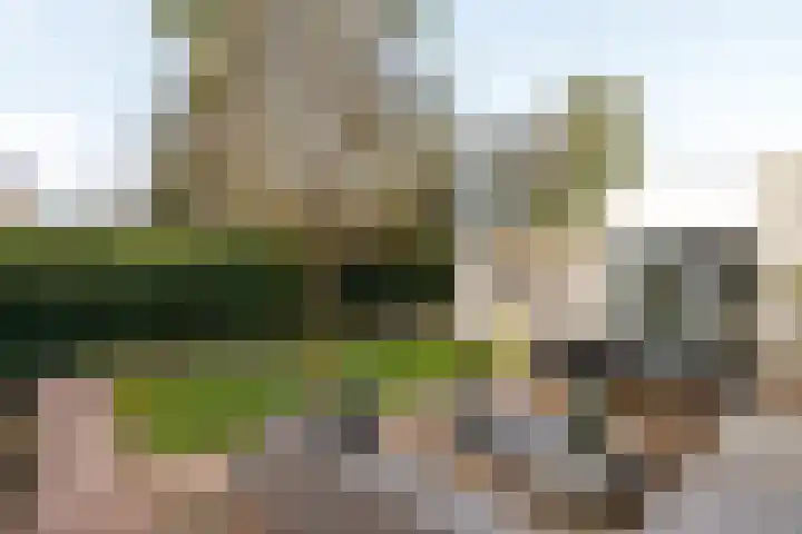 Puttershof 10 Vleuten thumbnail 13