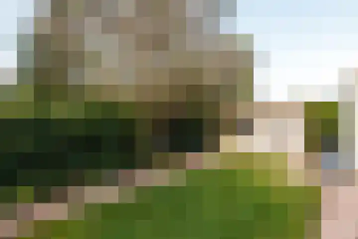 Puttershof 10 Vleuten thumbnail 14