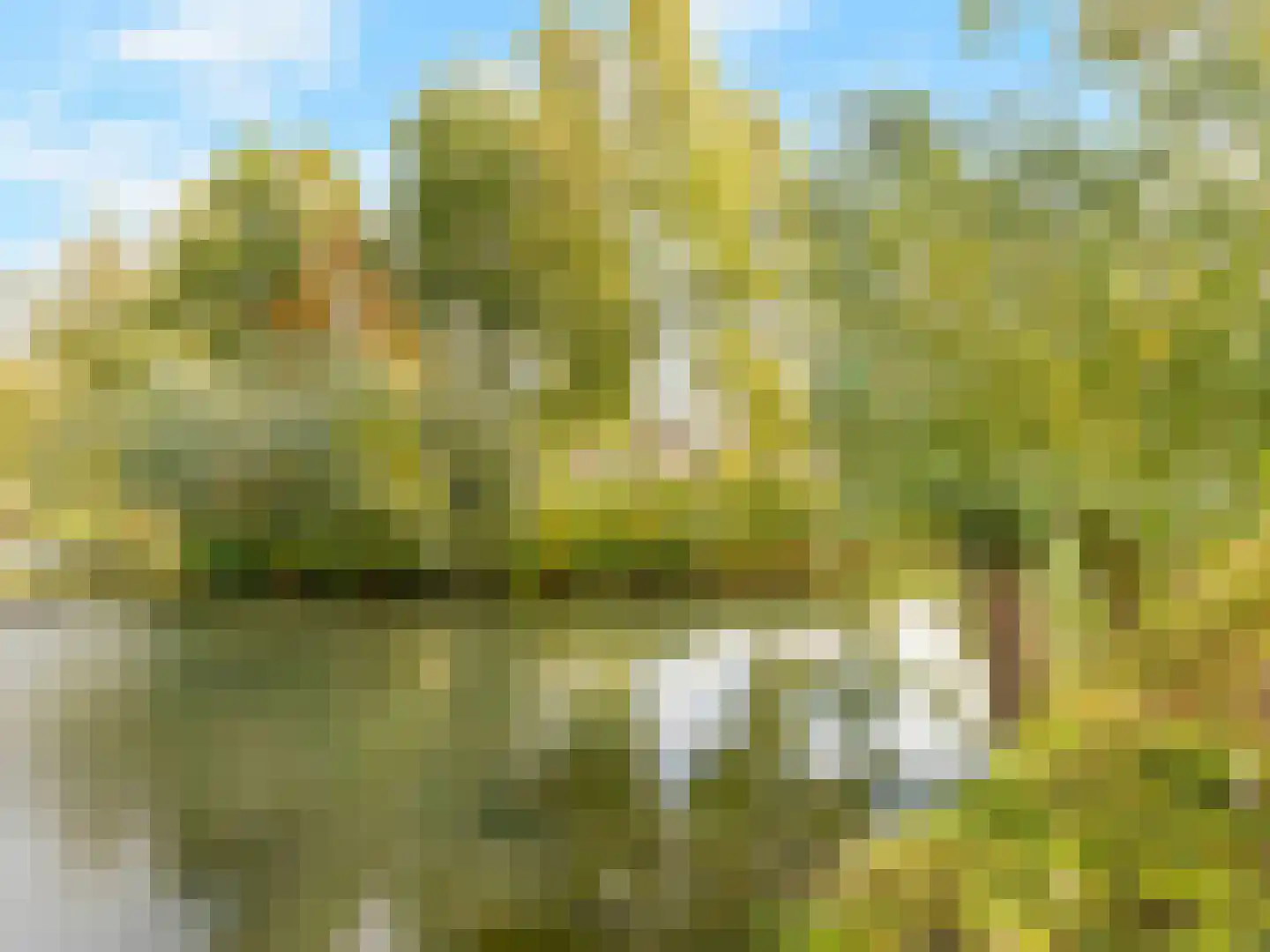 Puttershof 11 Vleuten thumbnail 47