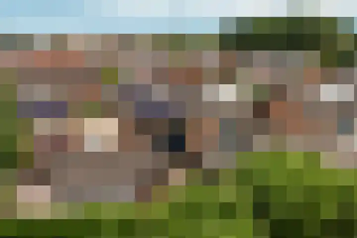Puttershof 32 Gennep thumbnail 29